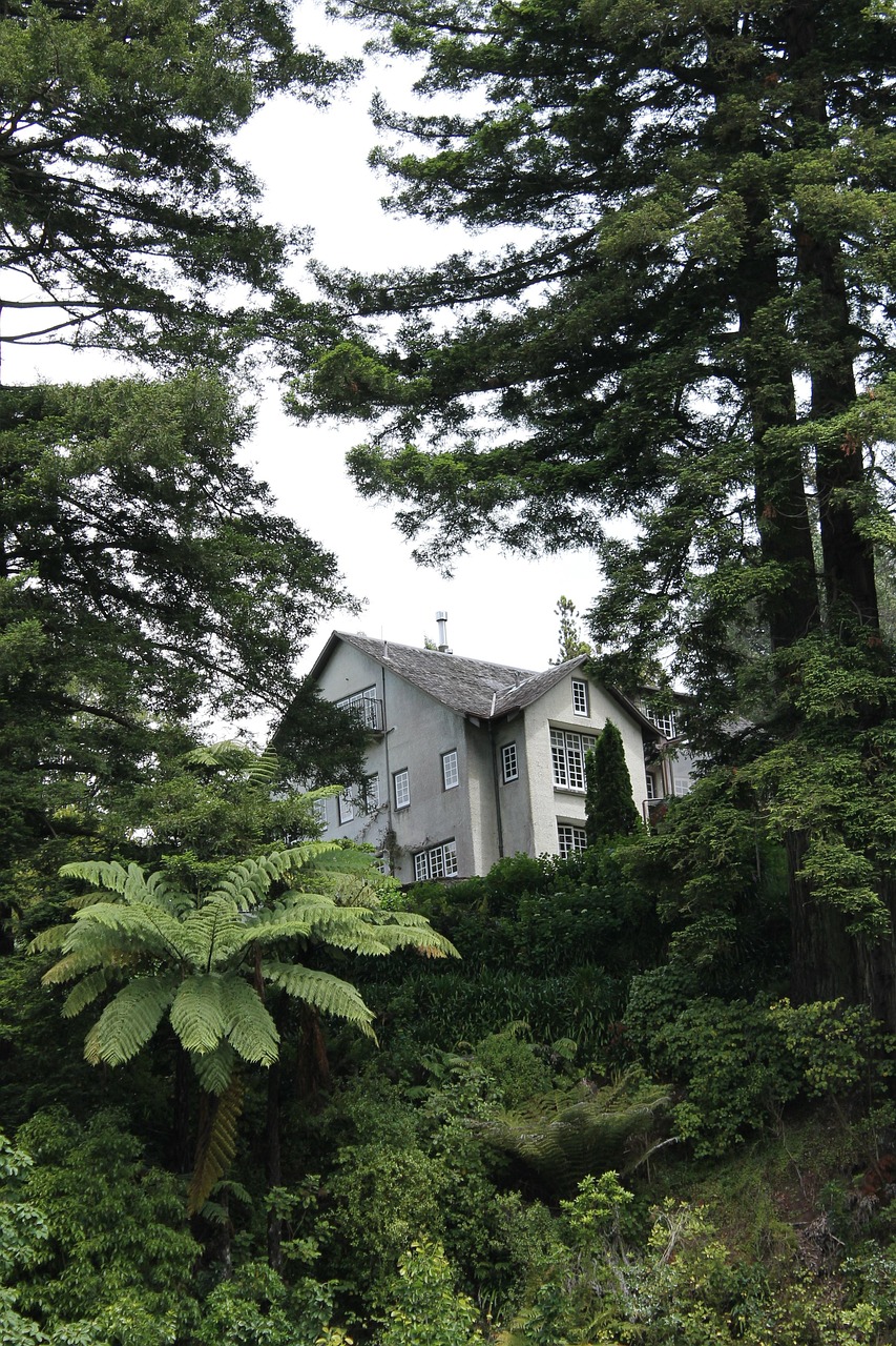 深泽一村调为高风险.深泽各村来历